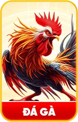 đá gà